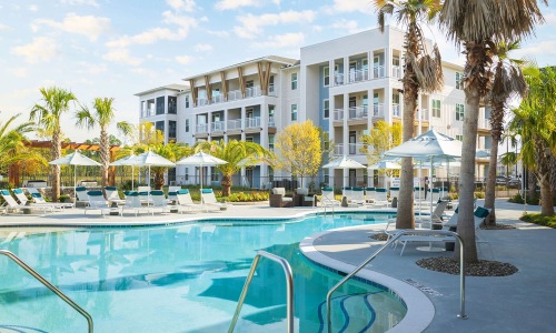 a pool with palm trees